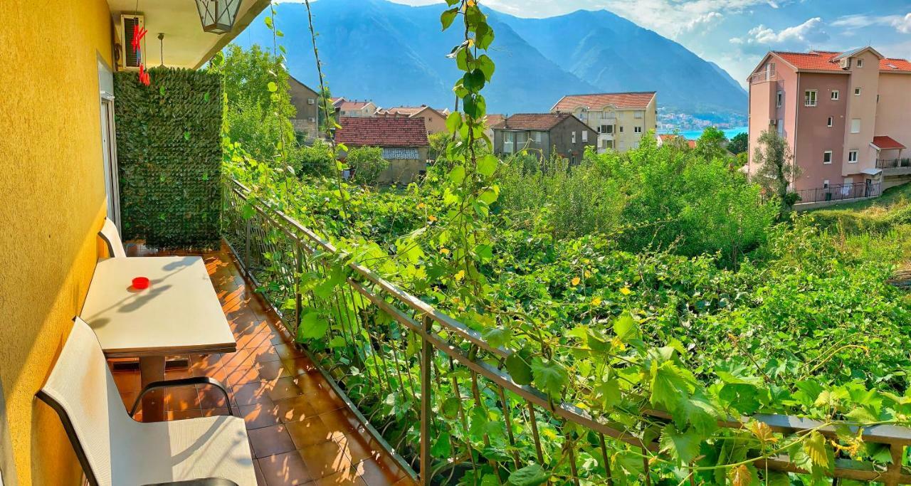 Apartments Jovana Котор Экстерьер фото